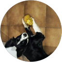 Ana M. profile picture